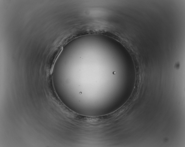 X0000116830709200912181434