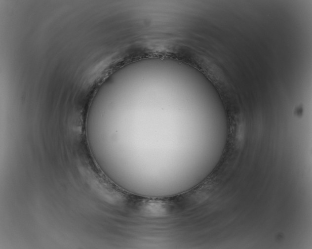 X0000116830710200912181434