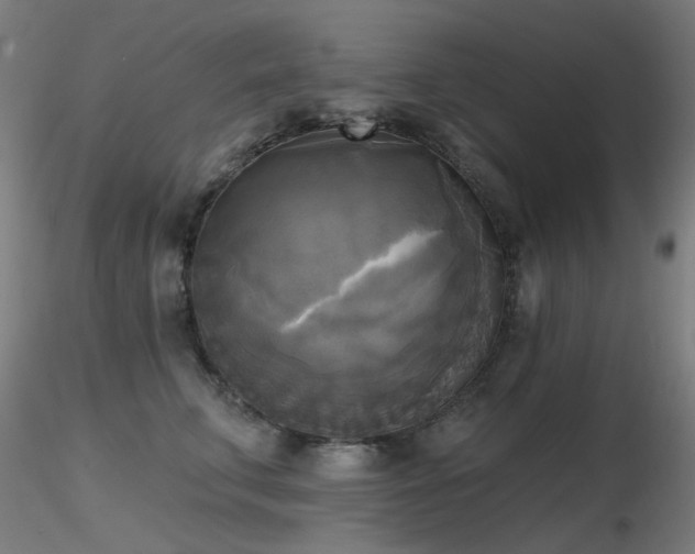X0000116830711200912181434