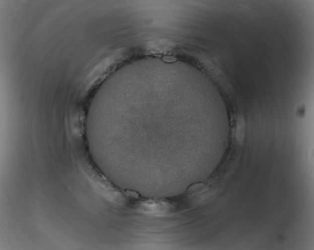 X0000116830712200912181434