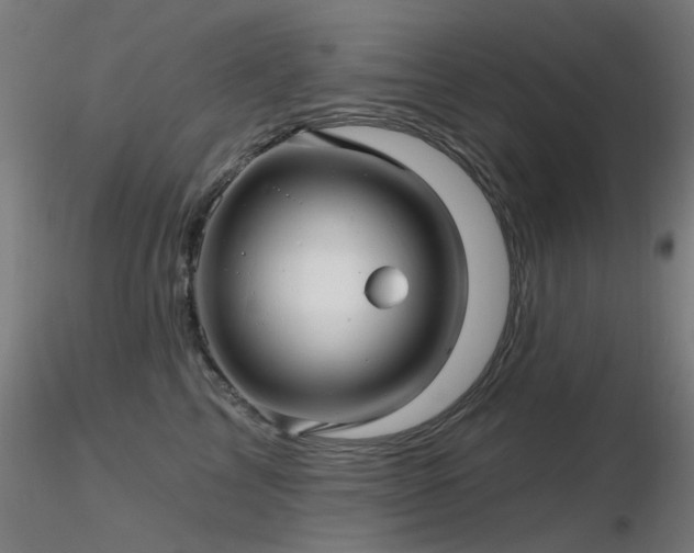 X0000116830713200912181434
