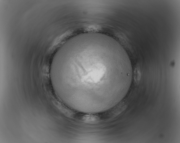 X0000116830714200912181434