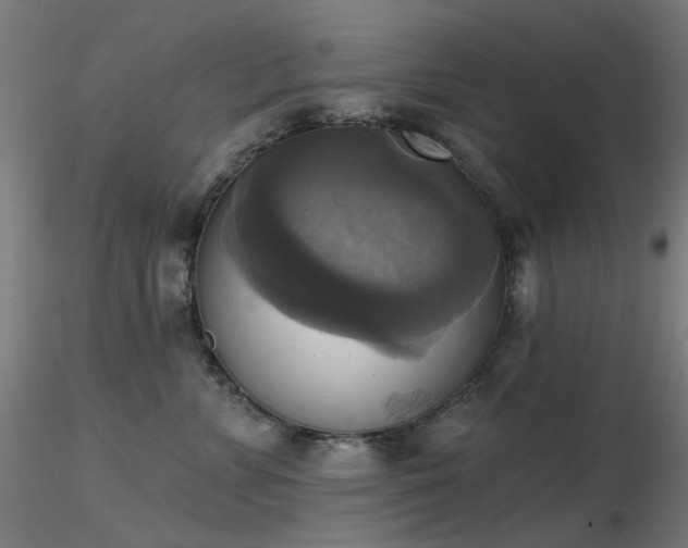 X0000116830715200912181434