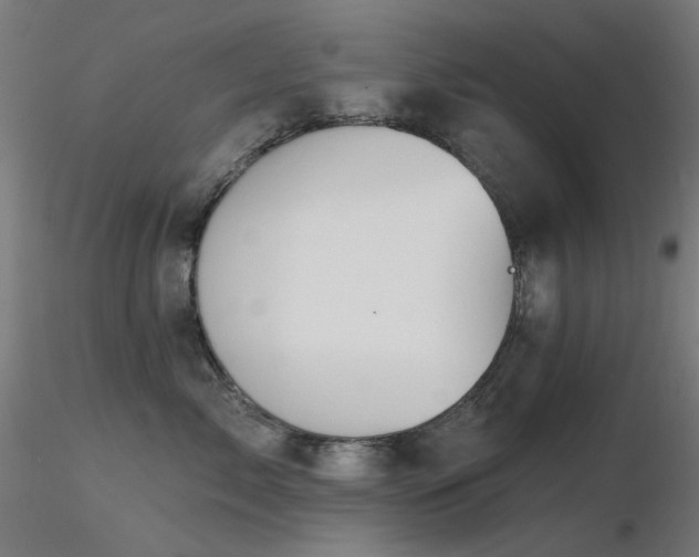 X0000116830717200912181434