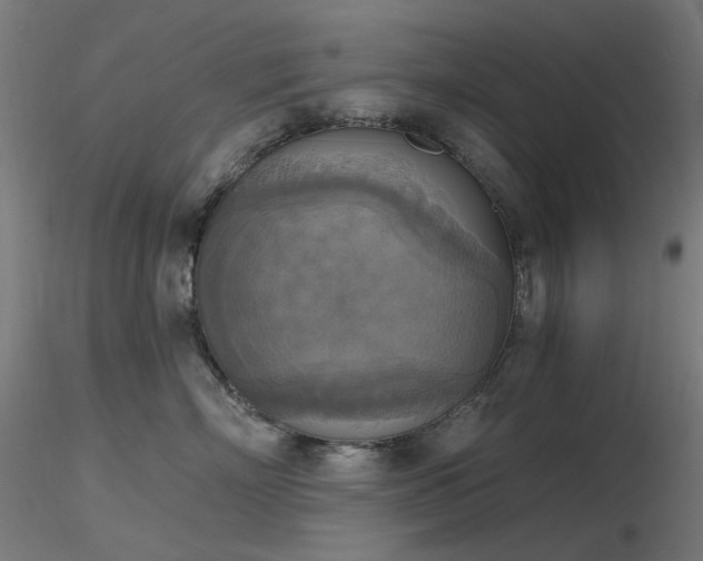 X0000116830718200912181434