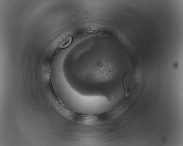 X0000116830719200912181434