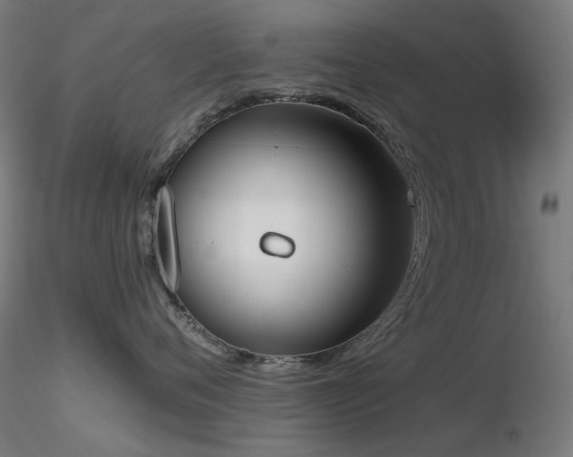 X0000116830720200912181434