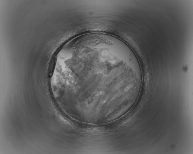 X0000116830721200912181433