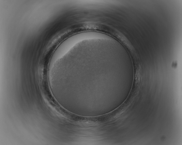 X0000116830722200912181433