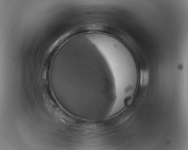 X0000116830723200912181433