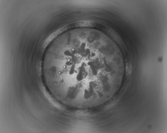 X0000116830725200912181433