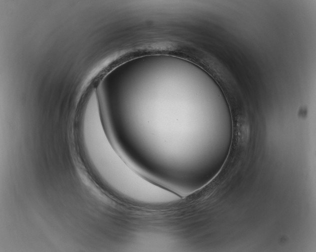X0000116830726200912181433