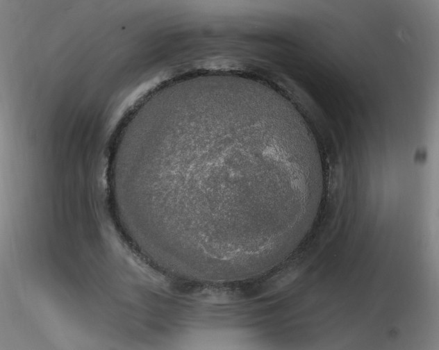 X0000116830727200912181433