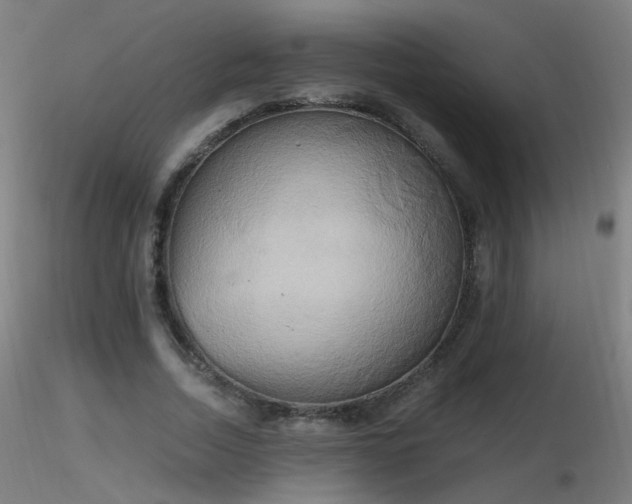 X0000116830730200912181433