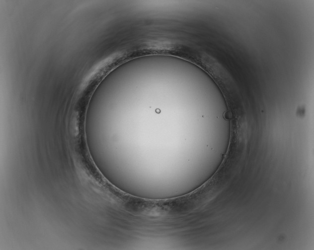 X0000116830731200912181433