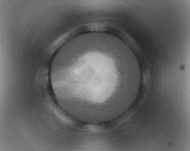 X0000116830733200912181433