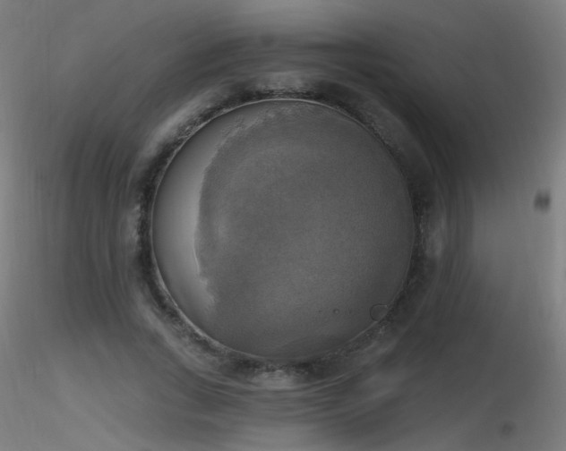 X0000116830735200912181433
