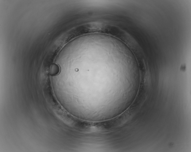 X0000116830737200912181433