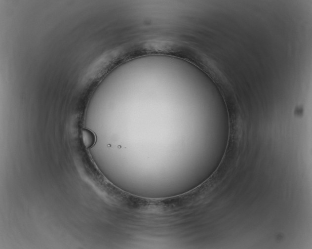 X0000116830738200912181433