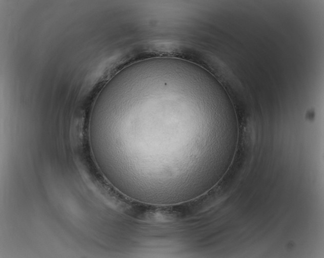 X0000116830739200912181433