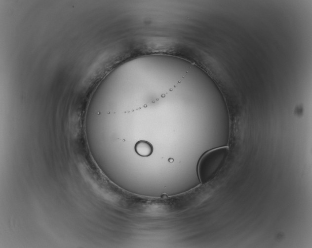 X0000116830741200912181433