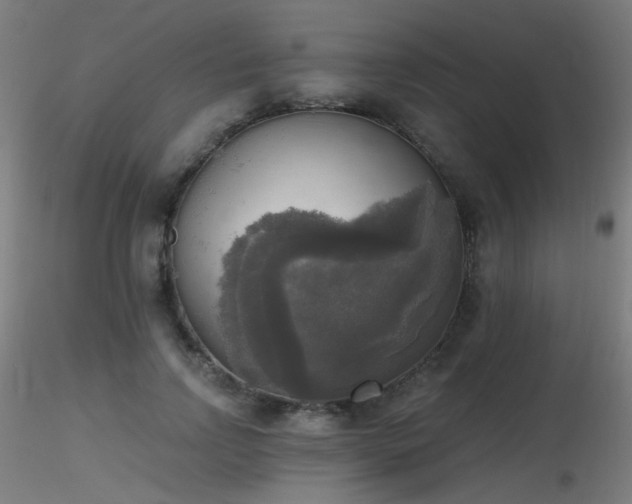 X0000116830742200912181433
