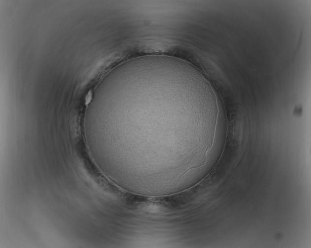 X0000116830743200912181433