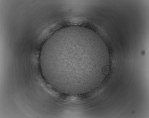 X0000116830745200912181433