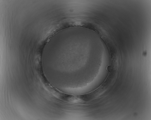 X0000116830747200912181433