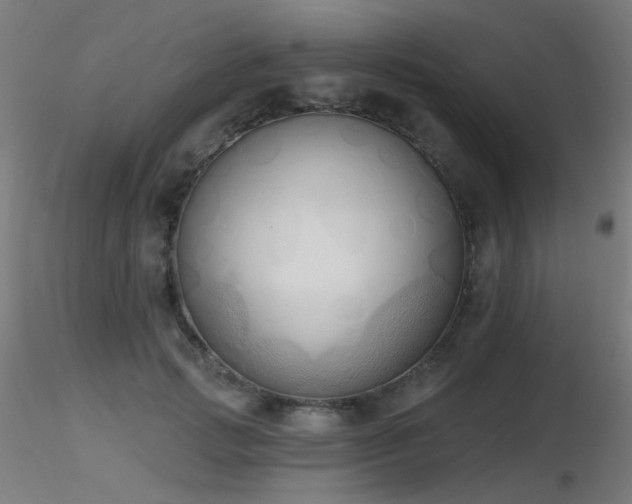 X0000116830749200912181434