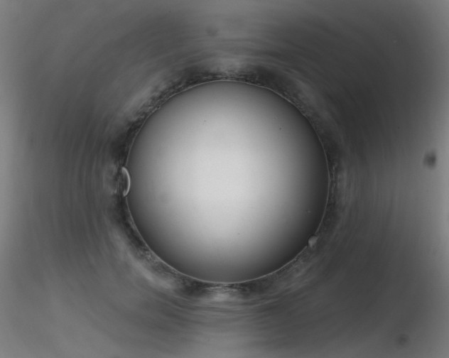 X0000116830750200912181434