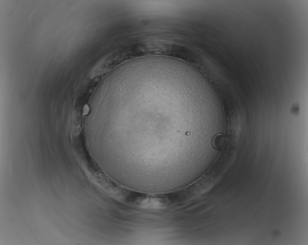 X0000116830751200912181434