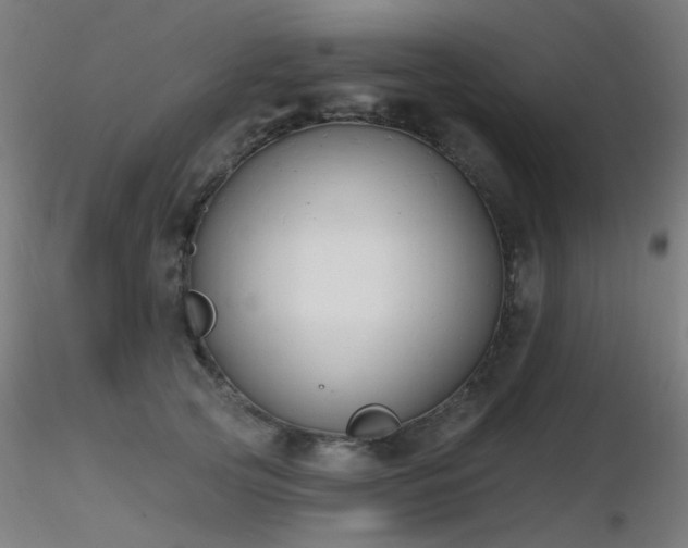 X0000116830753200912181434
