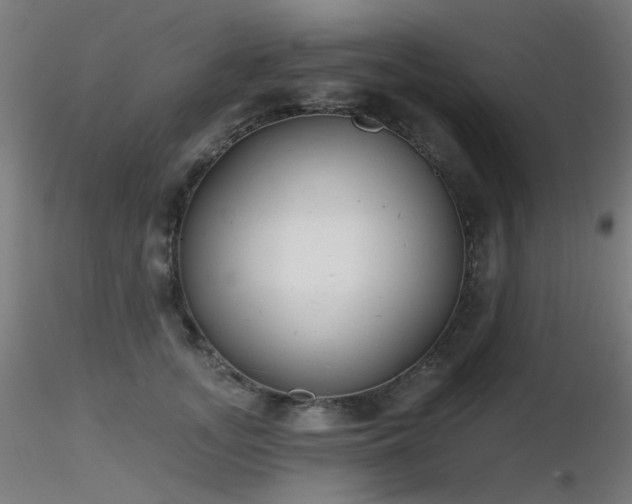 X0000116830755200912181434