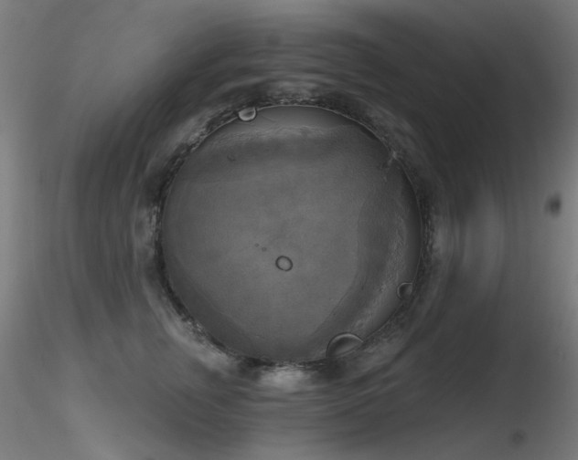 X0000116830759200912181434