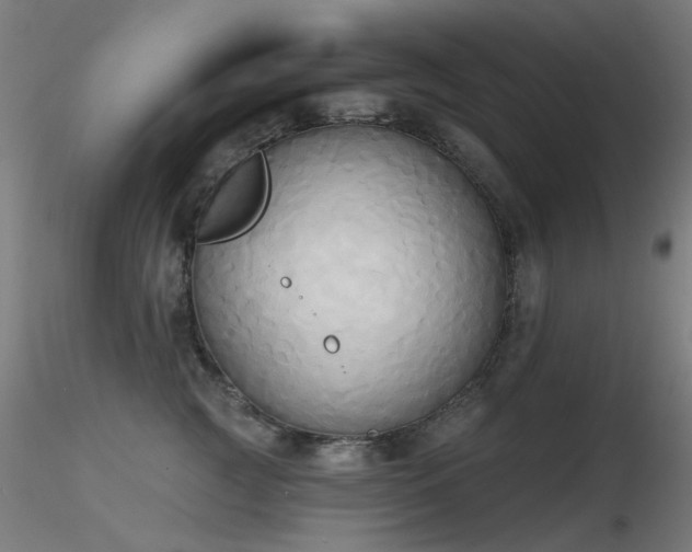 X0000116830761200912181434