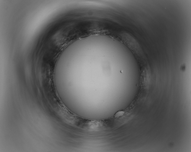 X0000116830762200912181434