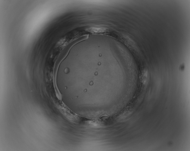 X0000116830763200912181434