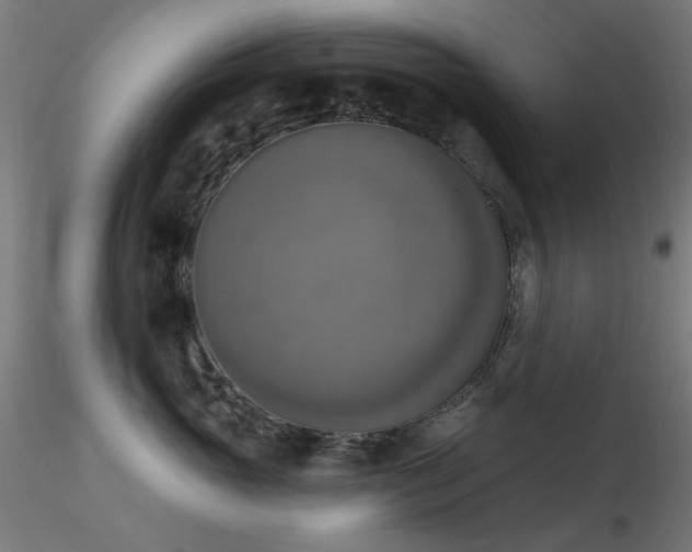 X0000116830765200912181434