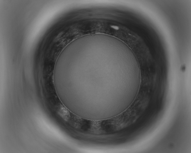 X0000116830766200912181434