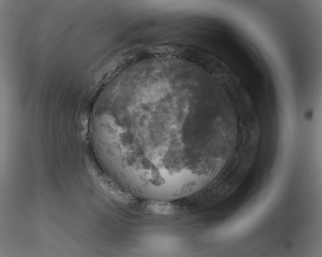 X0000116830767200912181434