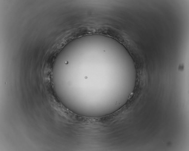 X0000116830770200912181433