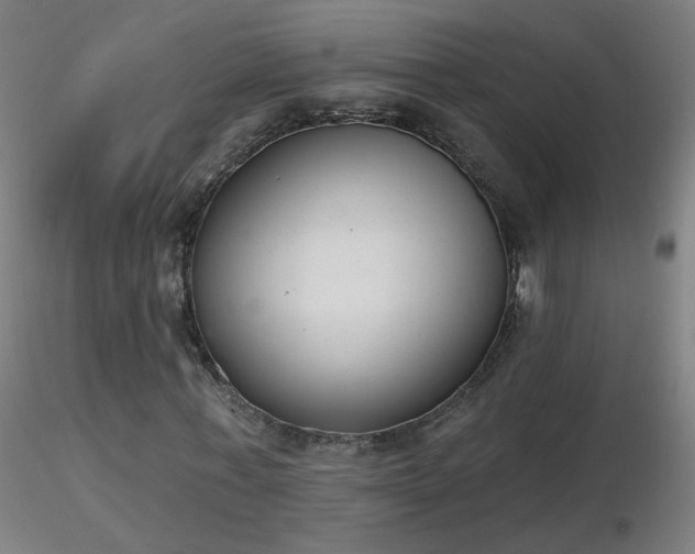 X0000116830771200912181433