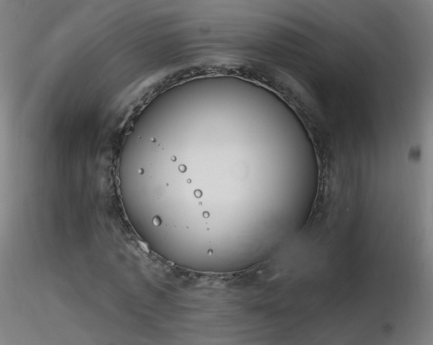 X0000116830773200912181433