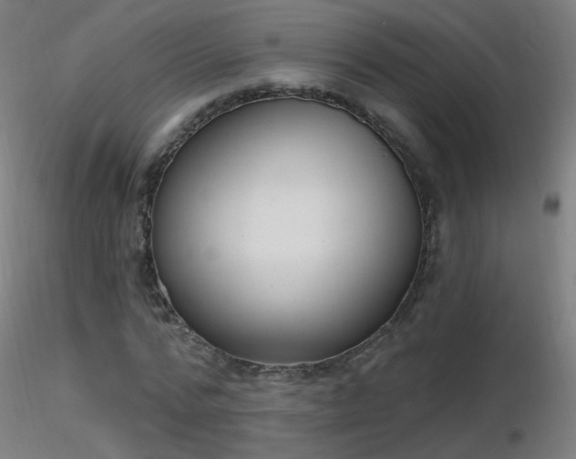 X0000116830776200912181433