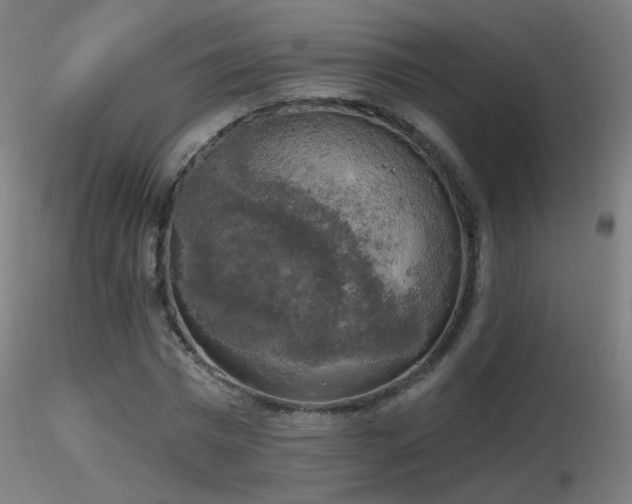 X0000116830777200912181433