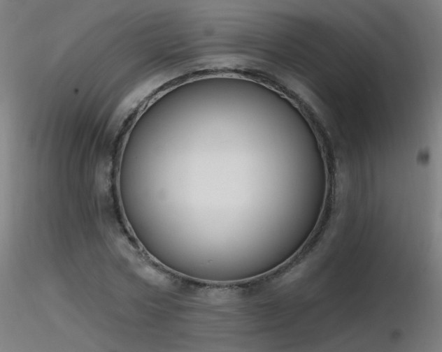 X0000116830778200912181433
