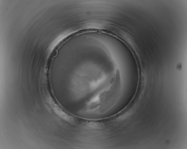 X0000116830779200912181433