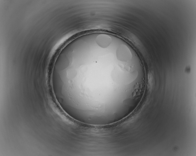 X0000116830780200912181433