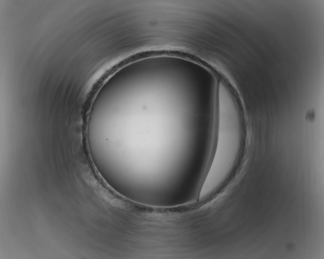 X0000116830781200912181433